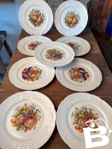 9 assiettes plates en porcelaine ancienne