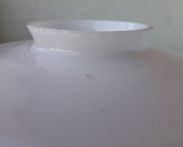 dot