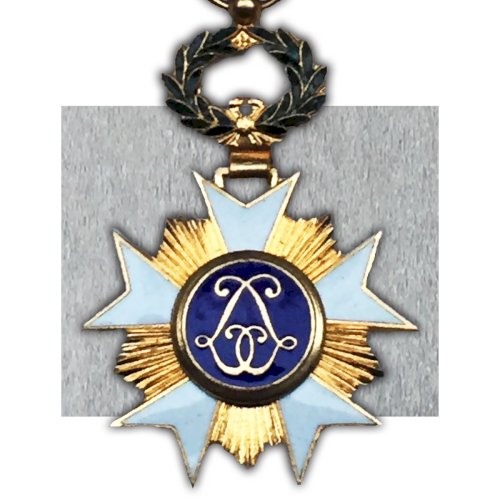 ABL : RARE OFFICIER AVEC ÉPÉES DE L'ORDRE DE LA COURONNE BELGE XX ORIGINAL