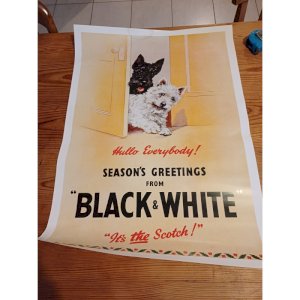 Advertising Poster for Black and White Whisky