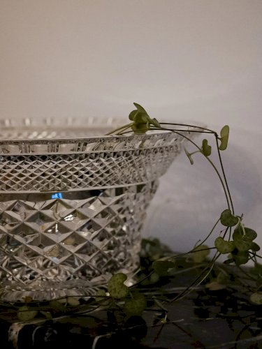 Alix, la coupe en cristal N°573