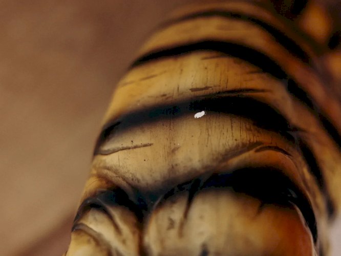 Alix, la statue tigre N°216