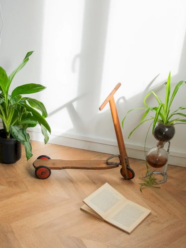 Alix, la trottinette en bois N°484