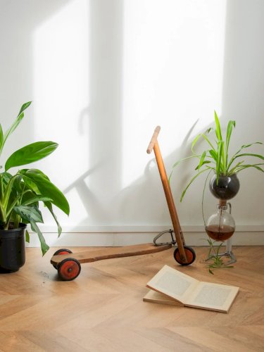 Alix, la trottinette en bois N°484