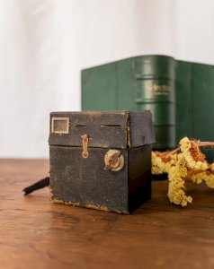 Alix, the decorative plastic camera No. 550