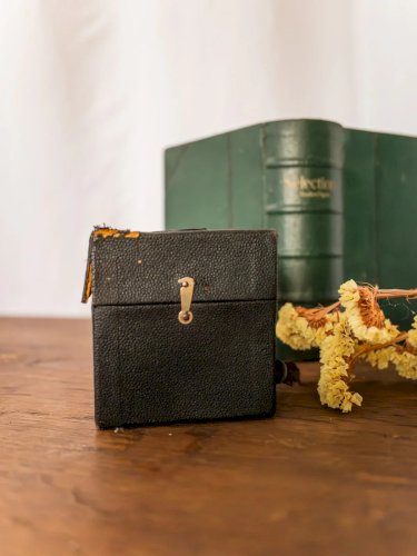 Alix, l'appareil photo décoratif en plastique N°550