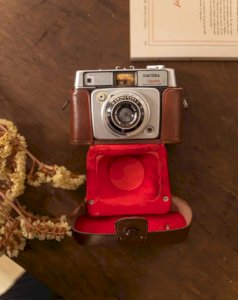 Alix, l'appareil photo décoratif en plastique N°551