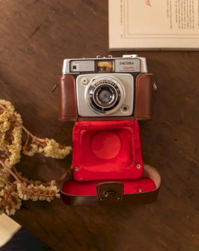 Alix, l'appareil photo décoratif en plastique N°551