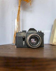 Alix, l'appareil photo décoratif N°547