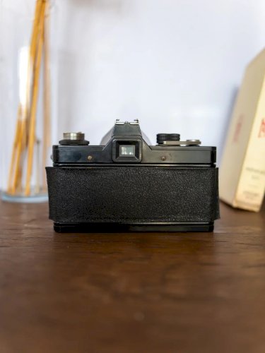 Alix, l'appareil photo décoratif N°547