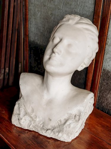 Alix, le buste en plâtre N°243