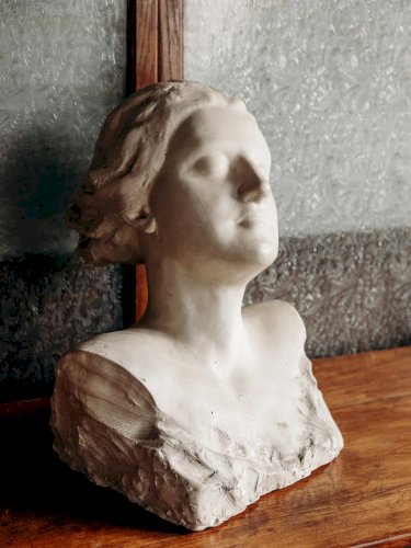 Alix, le buste en plâtre N°243