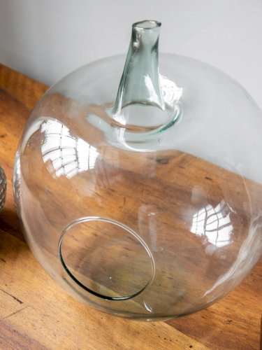 Alix, le terrarium en verre N°2