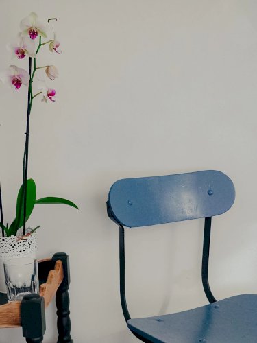 Alma, la chaise en acier N°1084