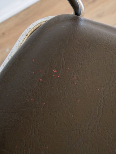 Alma, la chaise en métal N°524