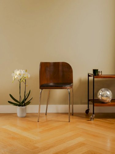 Alma, la chaise vintage N°904