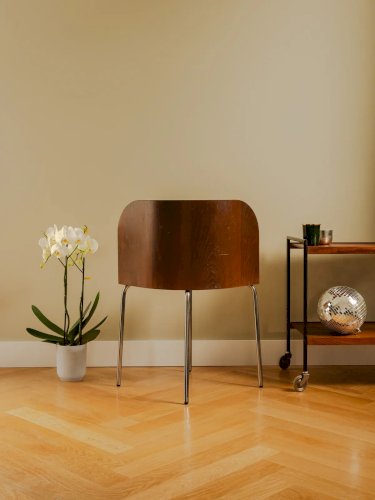 Alma, la chaise vintage N°904