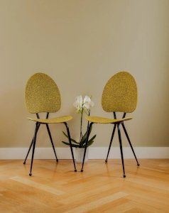 Alma, the pair of vinyl chairs No. 902