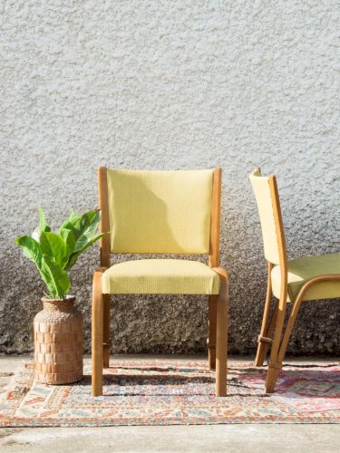 Alma, la paire de chaises Steiner N°293