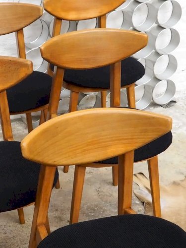 Alma, le lot de 6 chaises Baumann N°1186