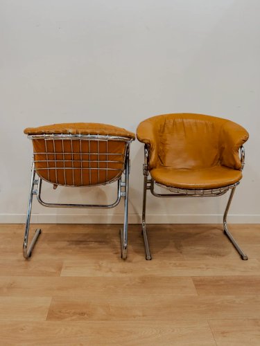 Alma, le lot de 6 chaises Flynn à Gastone Rinaldi N°1313