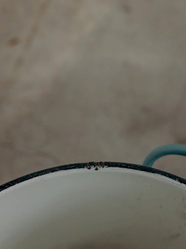 Ambroise, le seau émaillé bleu N°602