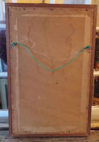 Ancien Cadre 9 Papillons Naturalisés Entomologie Old Naturalized Butterflies