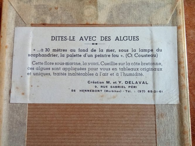 Ancien Cadre Avec Algue Flore Sous Marine Delaval Hennebont Bretagne