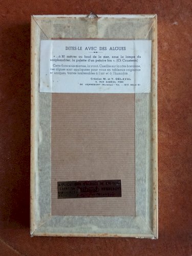 Ancien Cadre Avec Algue Flore Sous Marine Delaval Hennebont Bretagne