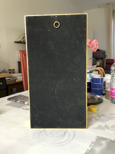 ANCIEN CADRE DORE DE PAPILLON NATURALISÉ CABINET CURIOSITÉ TAXIDERMIE