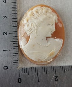 Ancient cameo without setting, on shell