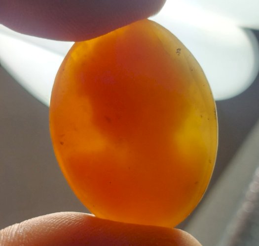 Ancien camée sans monture, sur coquillage ^