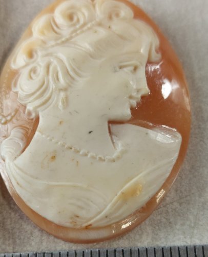 Ancien camée sans monture, sur coquillage ^