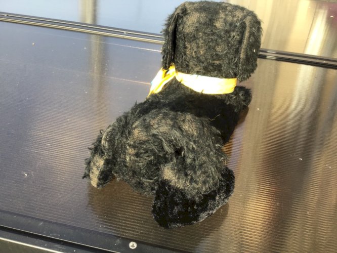 Ancien chien yeux verre déco XIX ème