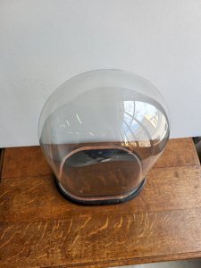 dot