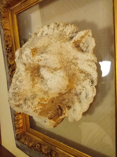 Ancien grand Cadre Doré Tête Lion Pierre Sur Plexiglas Composition Pièce Unique