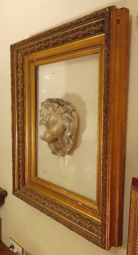 Ancien grand Cadre Doré Tête Lion Pierre Sur Plexiglas Composition Pièce Unique
