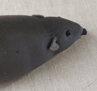 dot