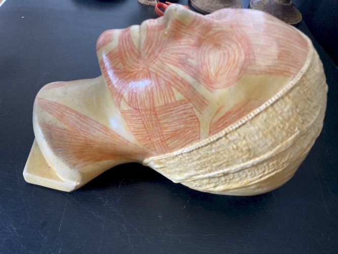 ancien masque d'étude anatomique Simonne Laubé PARIS anatomie médecine déco