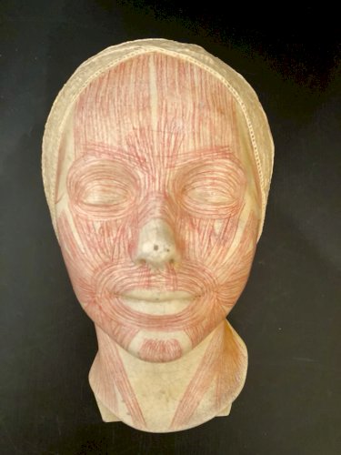 ancien masque d'étude anatomique Simonne Laubé PARIS anatomie médecine déco