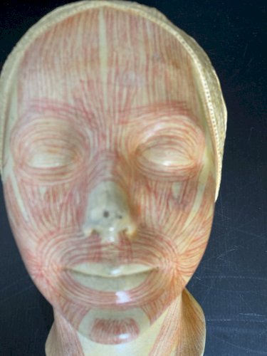 ancien masque d'étude anatomique Simonne Laubé PARIS anatomie médecine déco