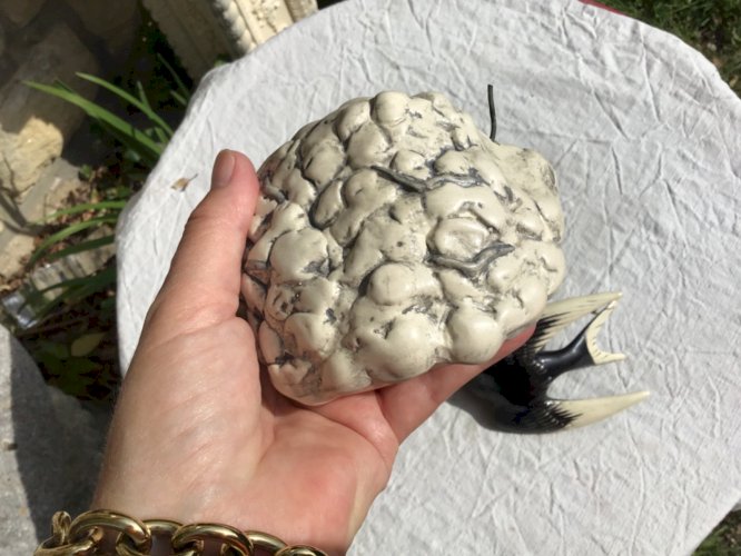 ANCIEN NID D ‘HIRONDELLE EN CÉRAMIQUE À ACCROCHER + MÈRE HIRONDELLE vallauris ??