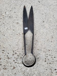 dot