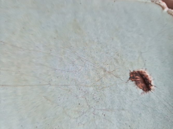 ANCIEN PLATEAU PLAT EMAILLE DECOR STYLE LONGWY