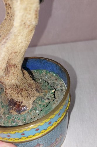 Ancien pot de fleur / bonsaï, pierres jade quartz, pot en émail cloisonné, Chine