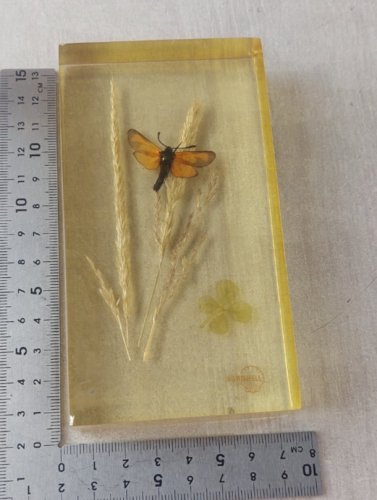 Ancien presse papier en résine, publicitaire, décor papillon, Agrishell