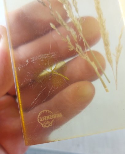 Ancien presse papier en résine, publicitaire, décor papillon, Agrishell