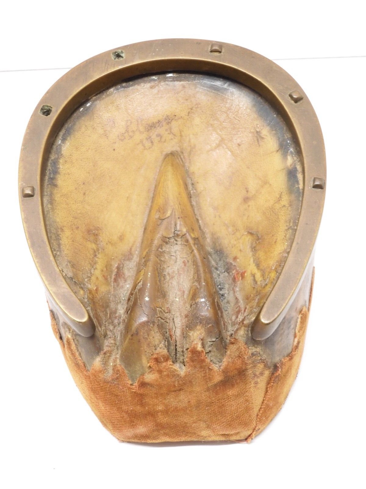 Ancien Mors De Cheval Larios - Oiseau Embrassant, Histoire Fascinante Vers 1835-1890