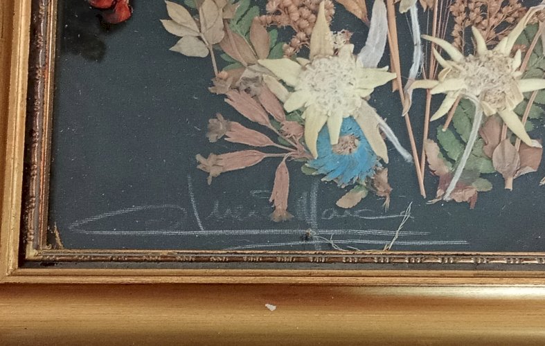 Ancien Tableau Fleurs Séchées Herbier Botanique Encadrement Doré