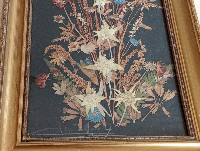 Ancien Tableau Fleurs Séchées Herbier Botanique Encadrement Doré
